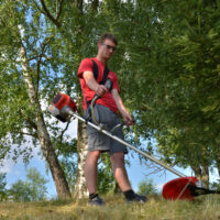 Võsalõikur 522HB Vari - Image 2