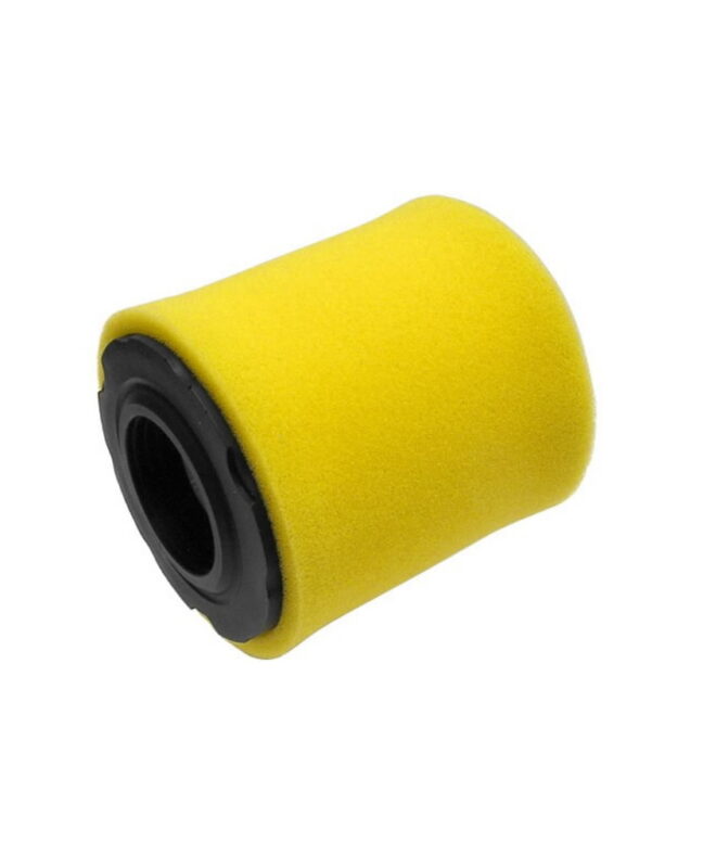 Õhufilter B&S mod. kõrgus 101mm  läbimõõt 21mm, Nevada