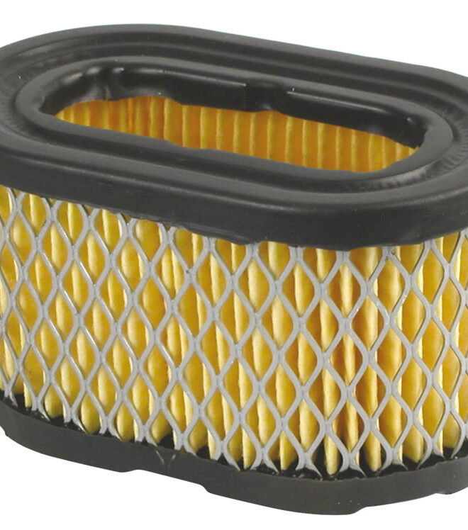Õhufilter papp, OHV mudel, B&S 497725, Nevada