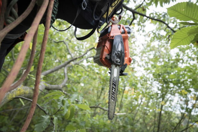 Akukettsaag DCS-2500T/25RC X-Series karkass, Echo - Image 6