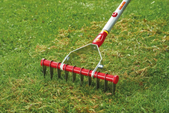Aeraatorreha UG-M 3 Multi Star, Wolf Garten - Image 2