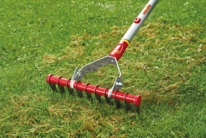 Aeraatorreha UG-M 3 Multi Star, Wolf Garten - Image 3