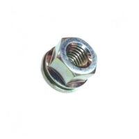 Mutter 8, Echo - Image 2