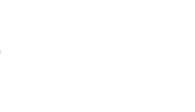 Süüteküünla spiraal SRM300, Echo