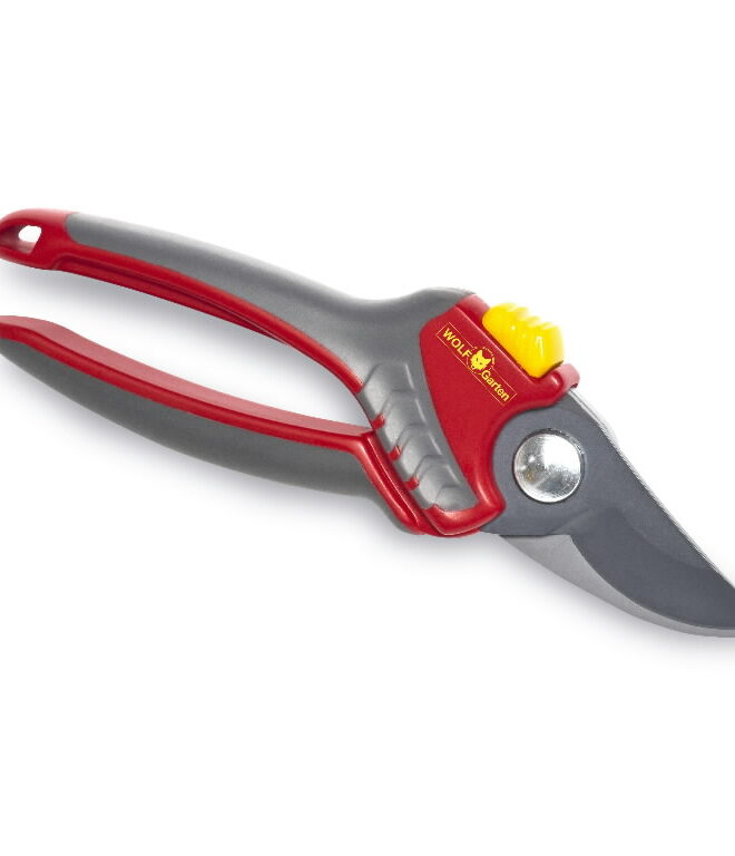 Oksakäärid vaheliti teradega "Premium Plus" RR 4000, Wolf Garten