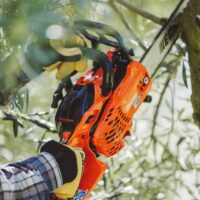 Mootorsaag CS-2511WES/30RC X-Series, Echo - Image 6