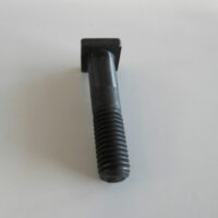 Juhtplaadi kinnituspolt, Echo