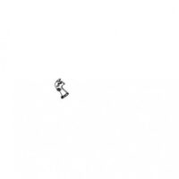 Lülitushoob CS-2100, Echo