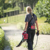 Akuga lehepuhur 82B16, karkass, Cramer - Image 2