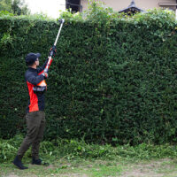 Akuhekilõikur DHCA-2600, karkass, Echo - Image 2