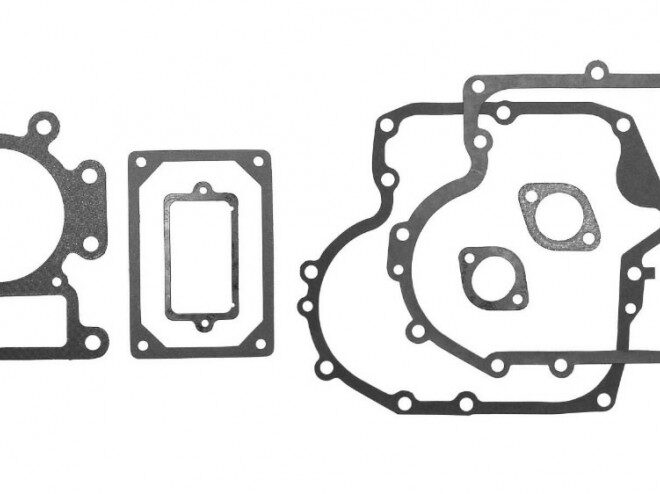 Tihendite komplekt Briggs & Stratton 13,5-15HP Intek OHV AVS, Nevada