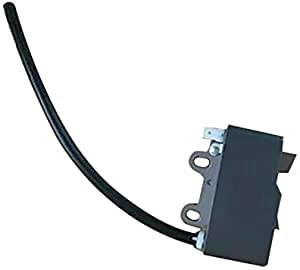 Süütepool PB-8010, Echo