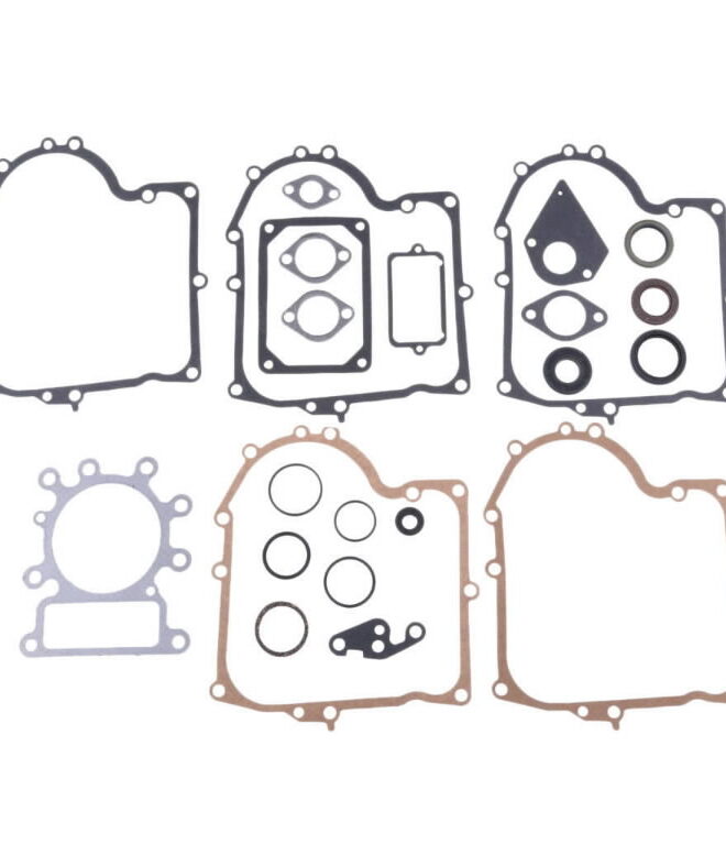 Tihendikomplekt vastaa B&S 495993 13,14, 15HP, BBT