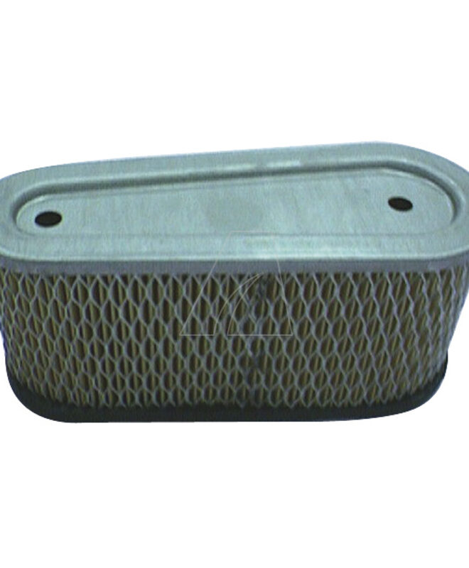 Õhufilter Tecumseh 15 hj mootorile (36356), Arnold