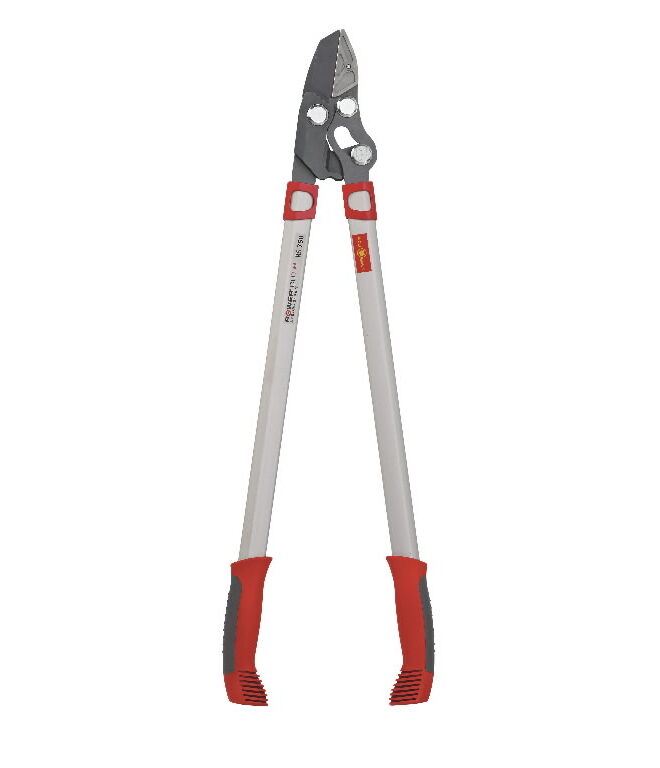 Oksalõikur alasiga Power Cut* RS750, Wolf Garten