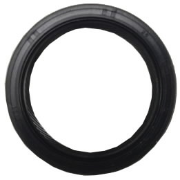 OIL SEAL B&S VOA 210000/310000 SER, BBT