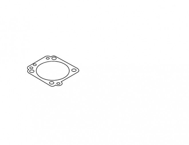 Karburaatori membraani tihend SRM-300, Echo