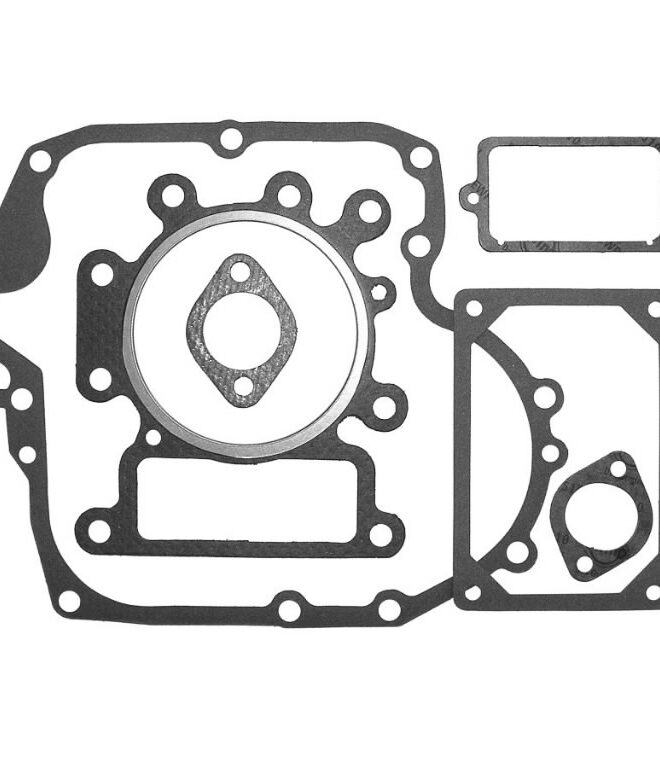 Tihendite komplekt Briggs & Stratton 15,5-19HP Intek, Nevada