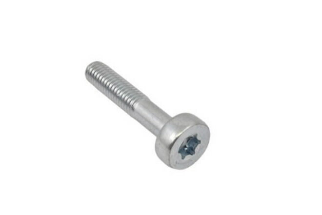 Polt, Torx 5 SRM-3610T, Echo