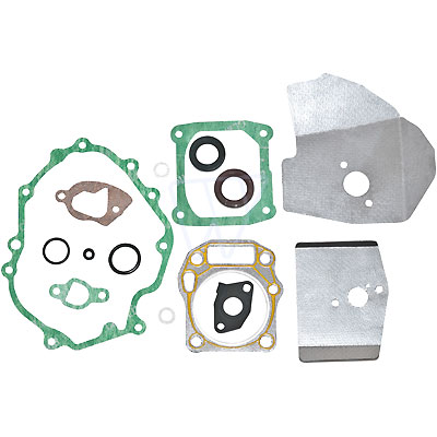 Tihendite komplekt MTD mootor 1P65, Arnold