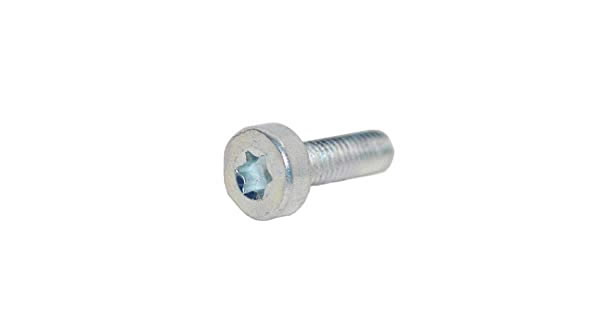 Polt, Torx 5 CS-420, Echo