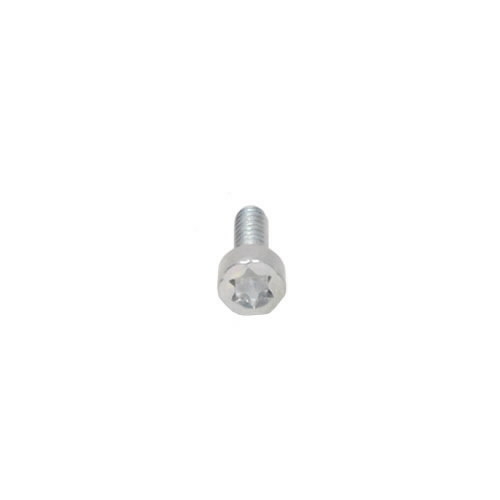Polt, Torx 4x12 CS-310ES/352ES/355T/550, Echo