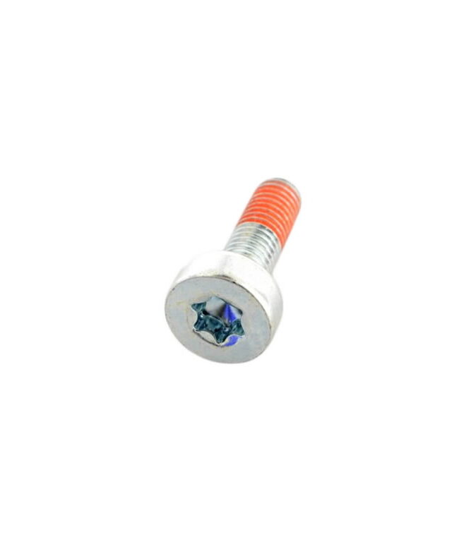 Polt, Torx 5 CS-600, CS-610, Echo