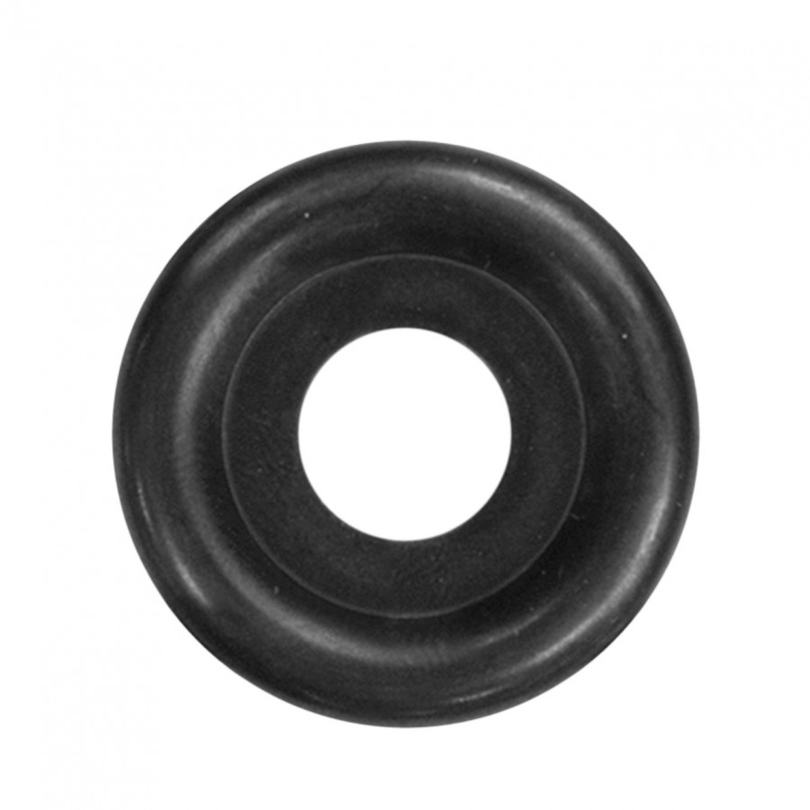 Rõngasseib 10, Echo - Image 2