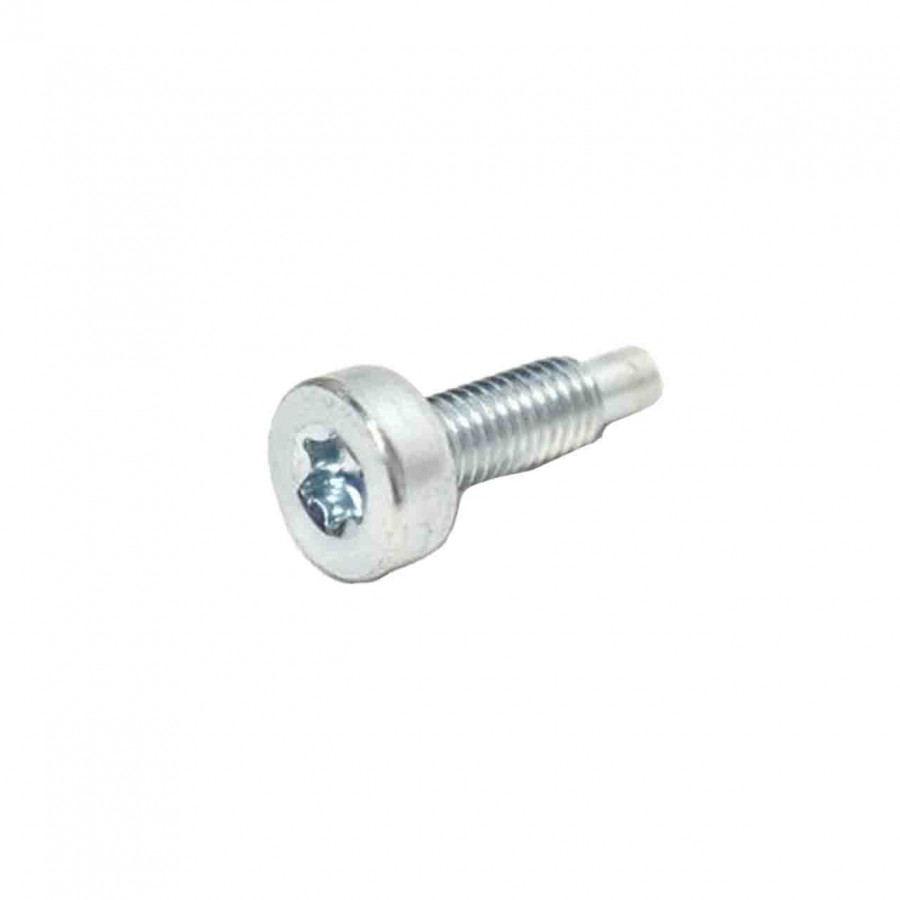 Polt, Torx 5 CS-3510L/AC; CS-4010; CS-3510ES, Echo
