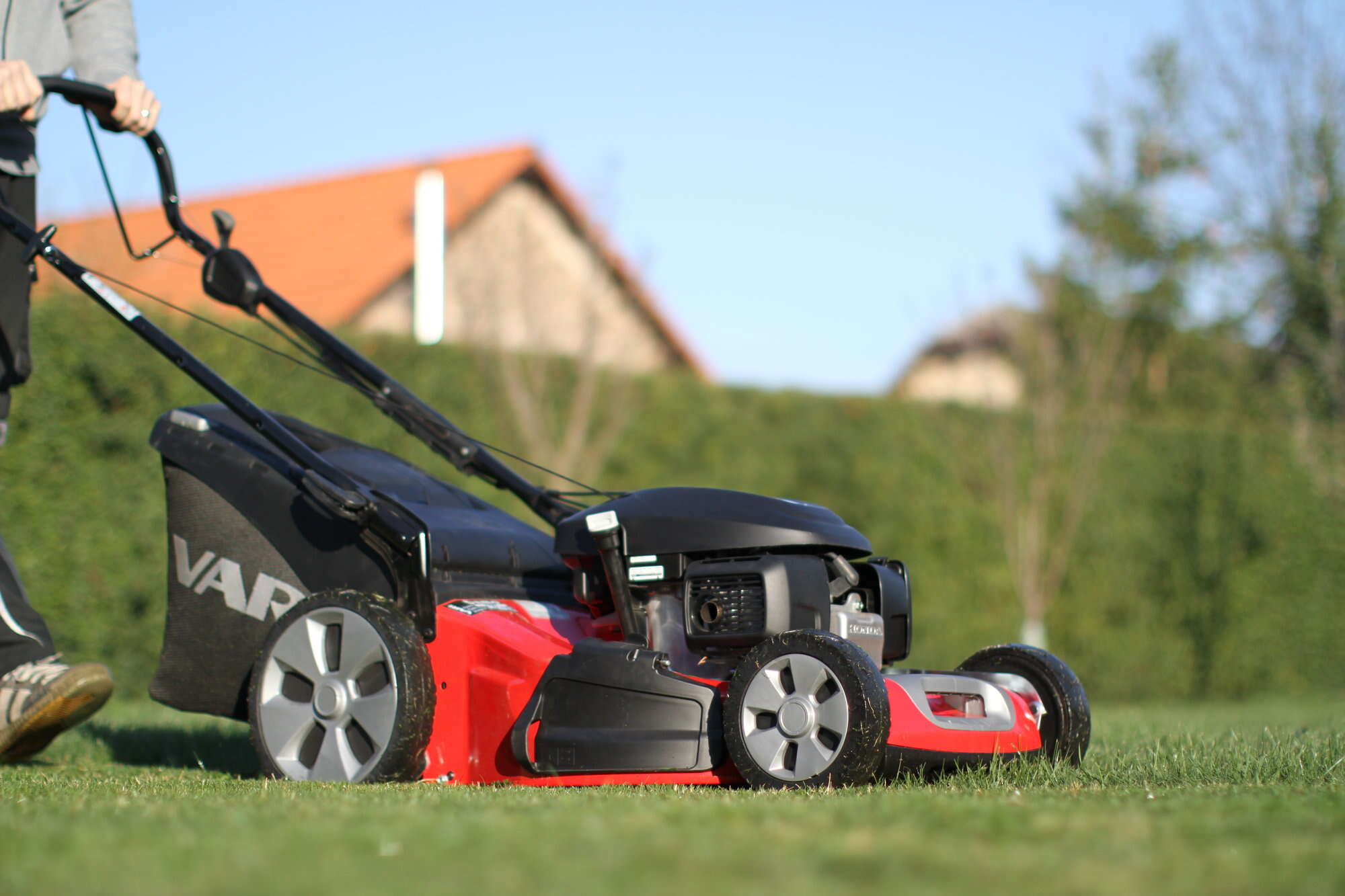 Muruniiduk MP1 554 H (veoga) Vari - Image 3