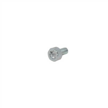 Polt, Torx 4x8 CS-352/550/590/600, Echo