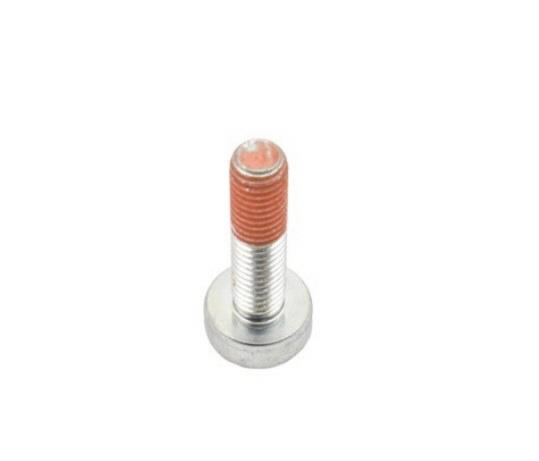 Polt Torx 5 SRM-420, SRM-3020, Echo