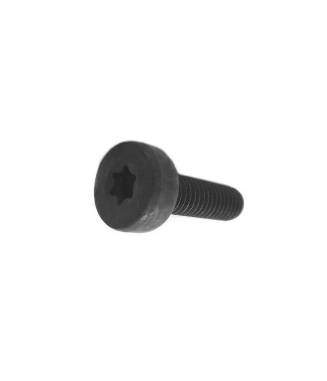 Polt, Torx 6x20 SRM-420ES, Echo