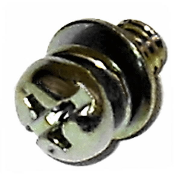 Kruvi M4x10, Echo